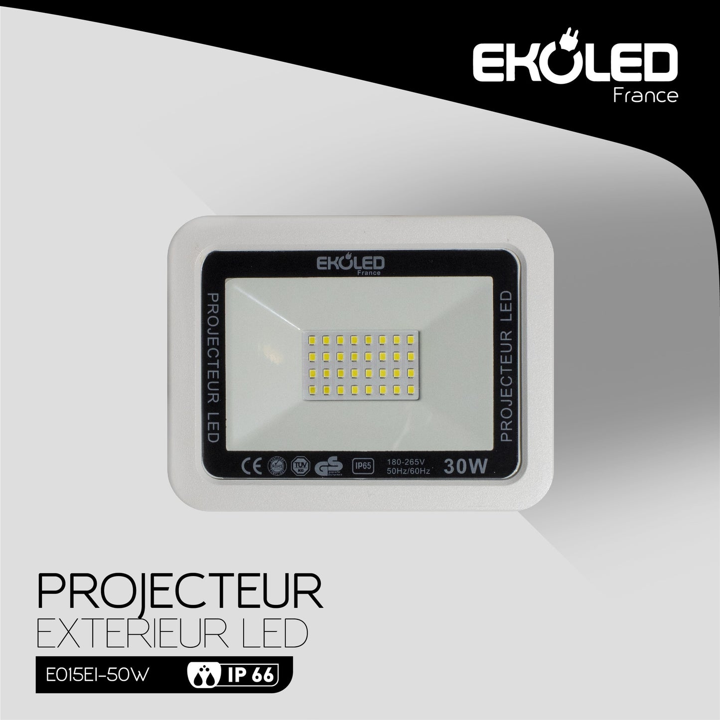 PROJECTEUR EKOLED ETANCHE IP65 SMD 30W 6500K E015