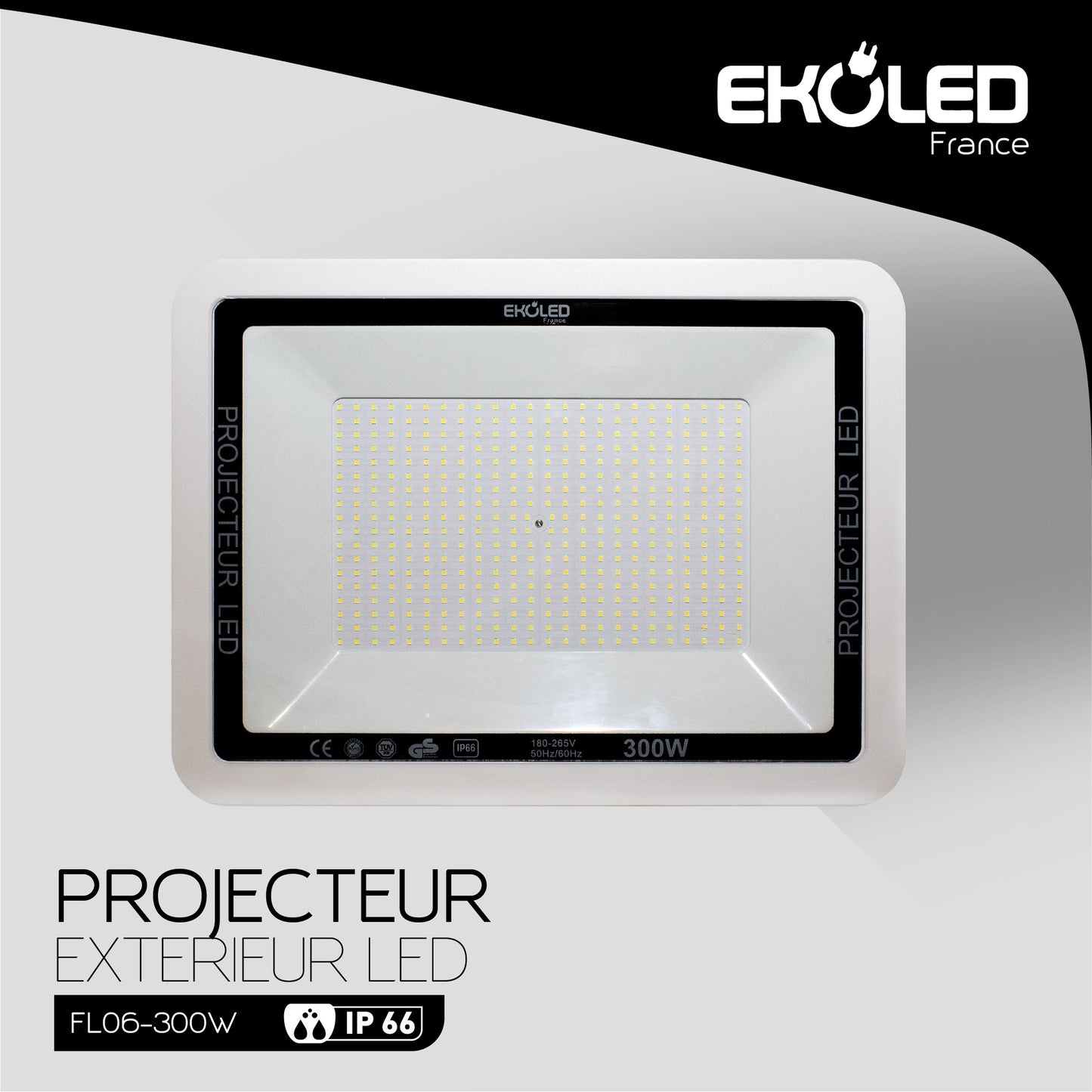 PROJECT.ENTANCHE IP65 SMD 300W 6500K FL06