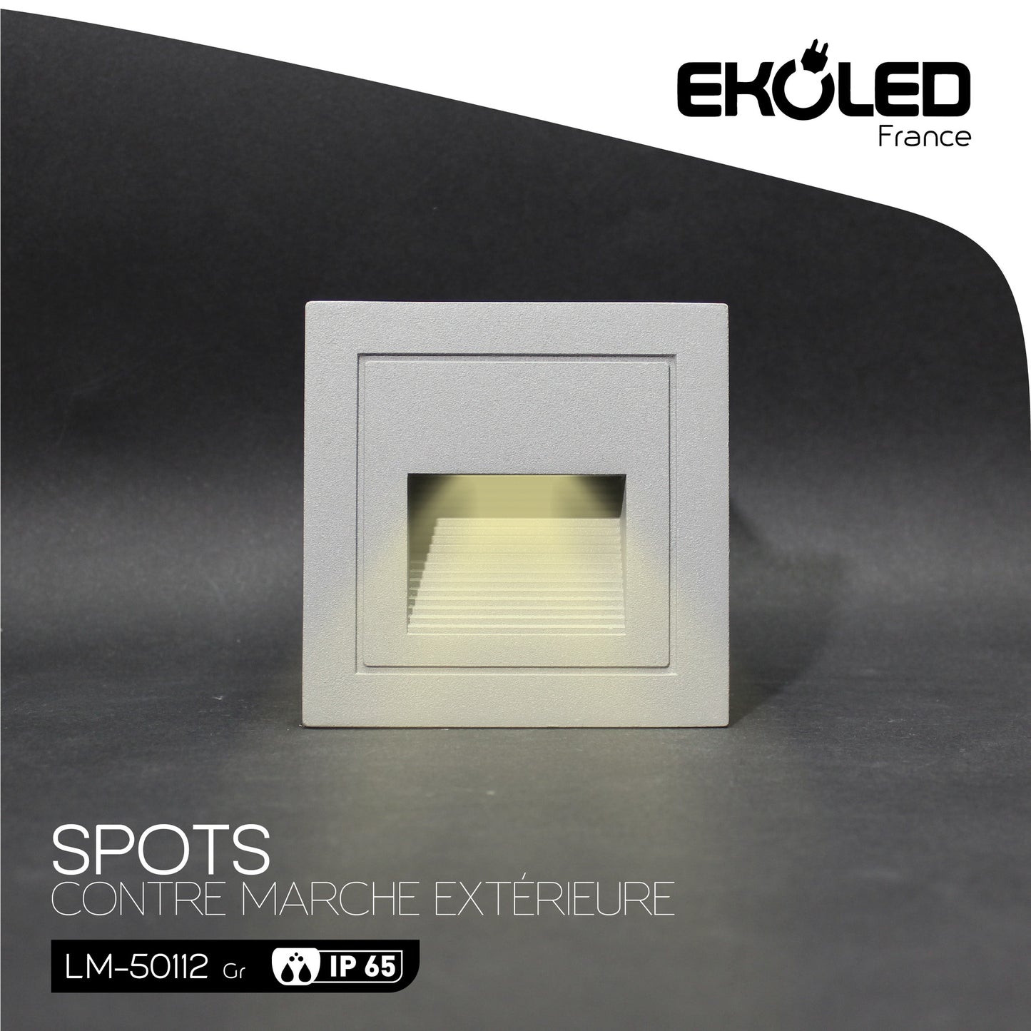LM50112 STEP LIGHT EKOLED SMD 2W 6500K GREY 220V 50000H