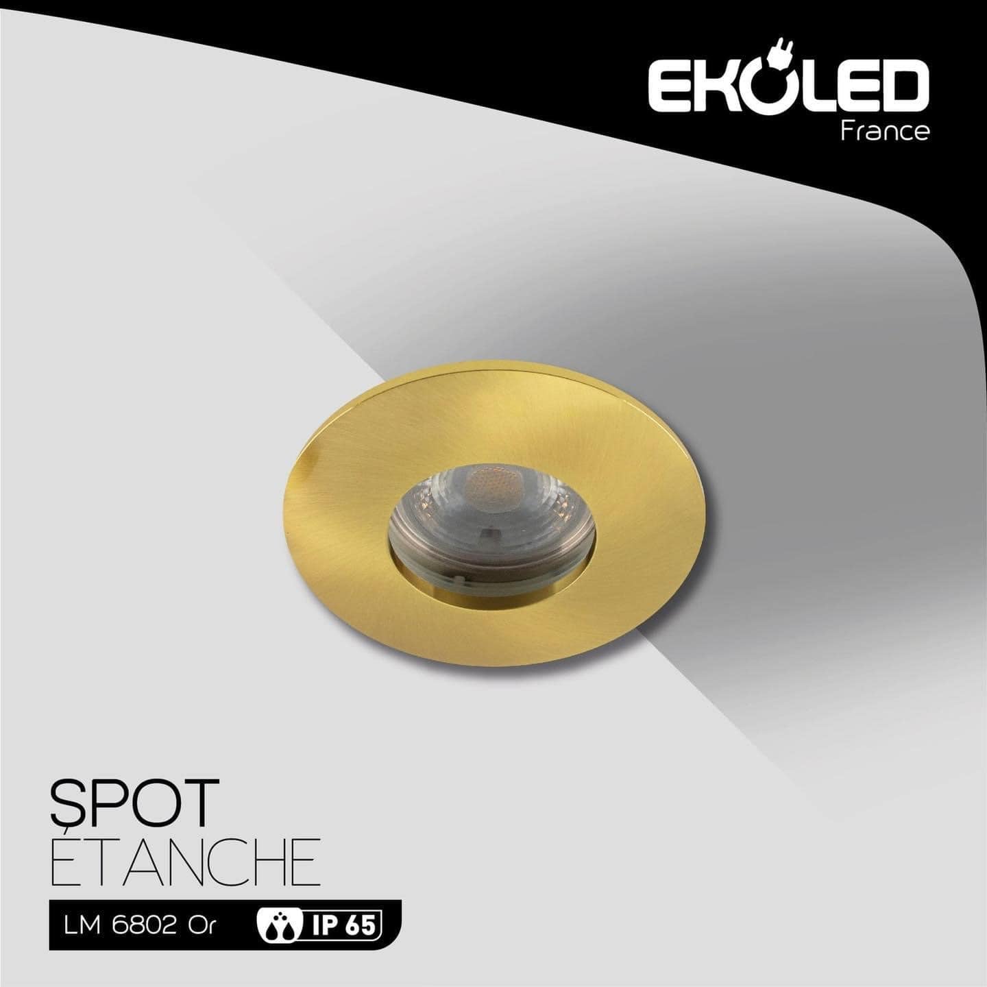 SUPPORT DE SPOT ÉTANCHE ROND EKOLED IP65 POUR AMPOULE LED MR16 / GU10 / 220 / 12V 6802