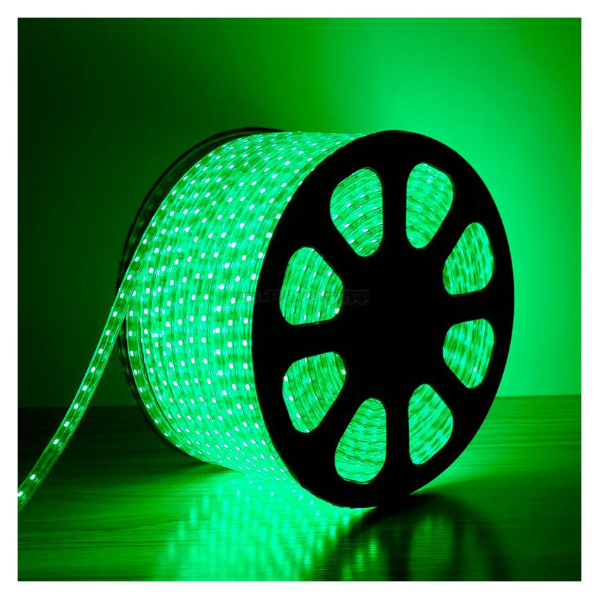 RUBAN 5050/60 220V Vert (50ml) EKOLED