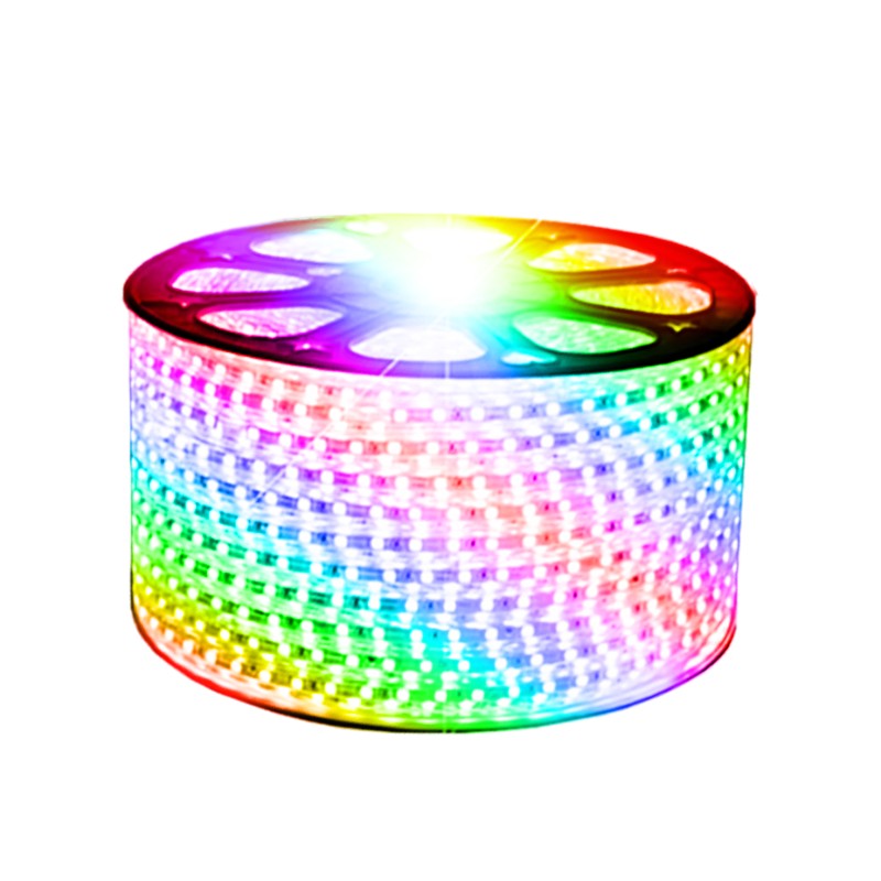 RUBAN RGB SMD 5050 220V LUMIN