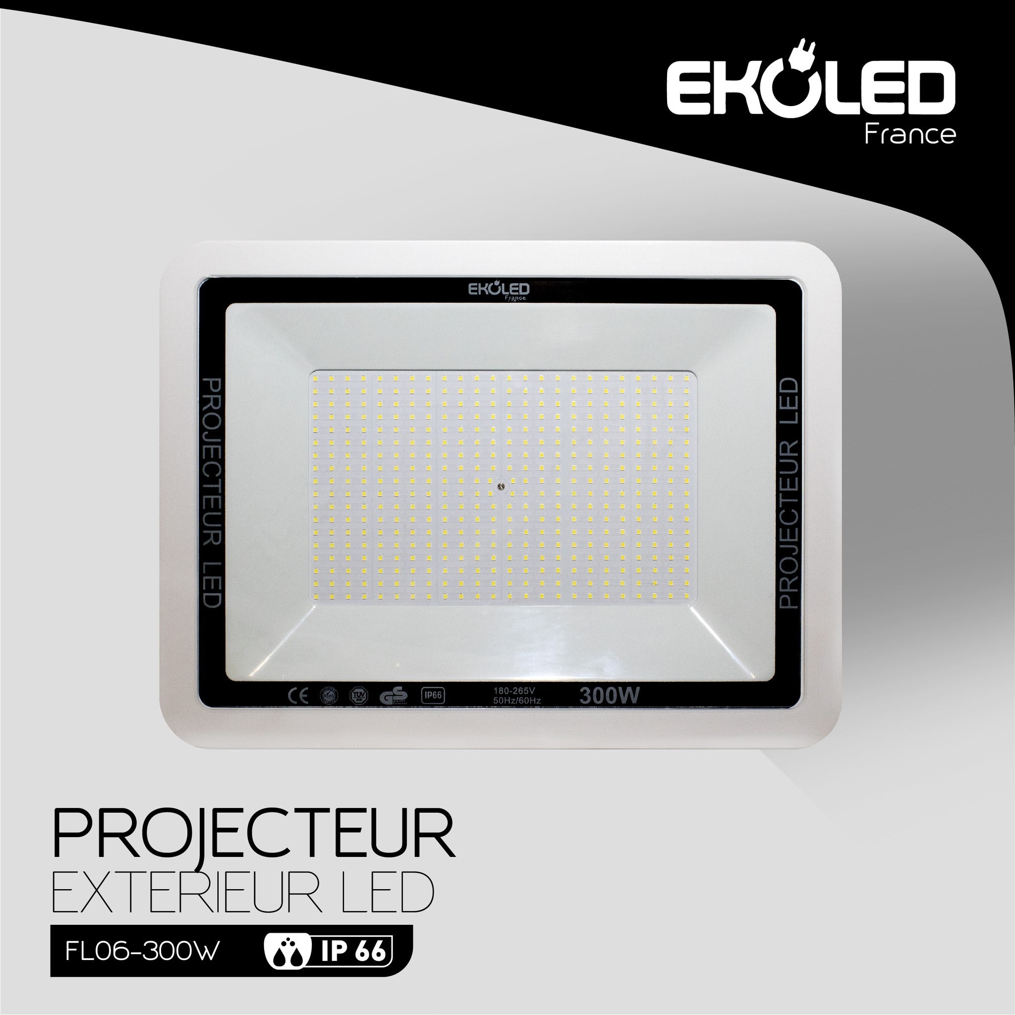 PROJECT.ENTANCHE IP65 SMD 300W 6500K FL06 – MAISON ET LUMIERE